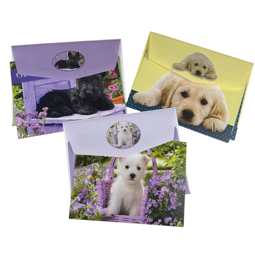 Jane Burton Puppy Get Well Soon Greeting Cards Set of 3 with Envelopes USA Made
